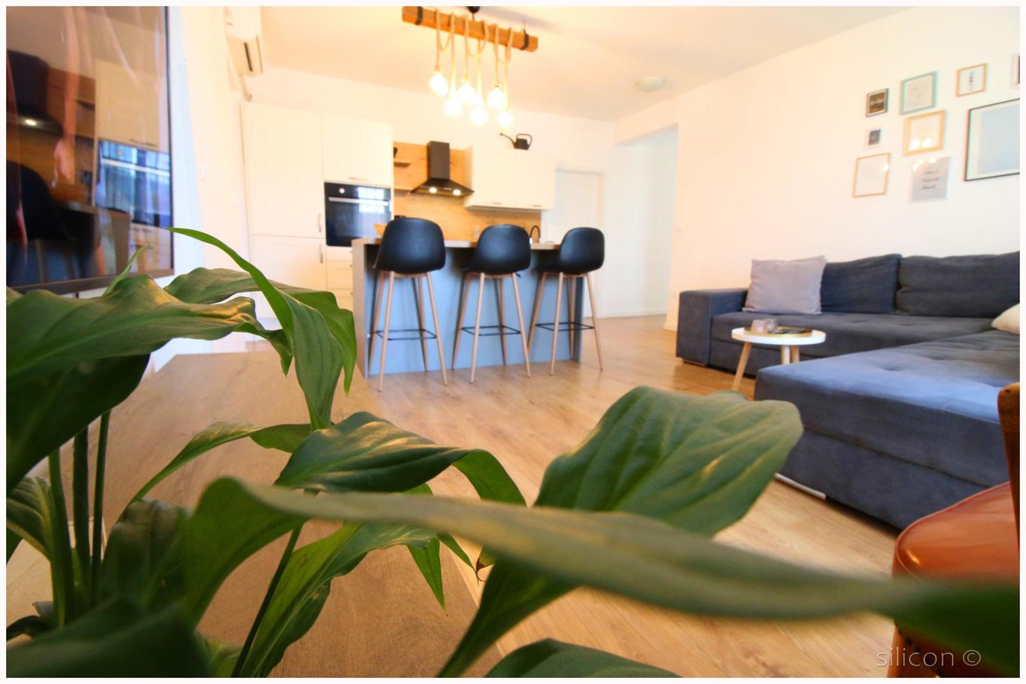 Apartman Silicon 普利莫顿 外观 照片